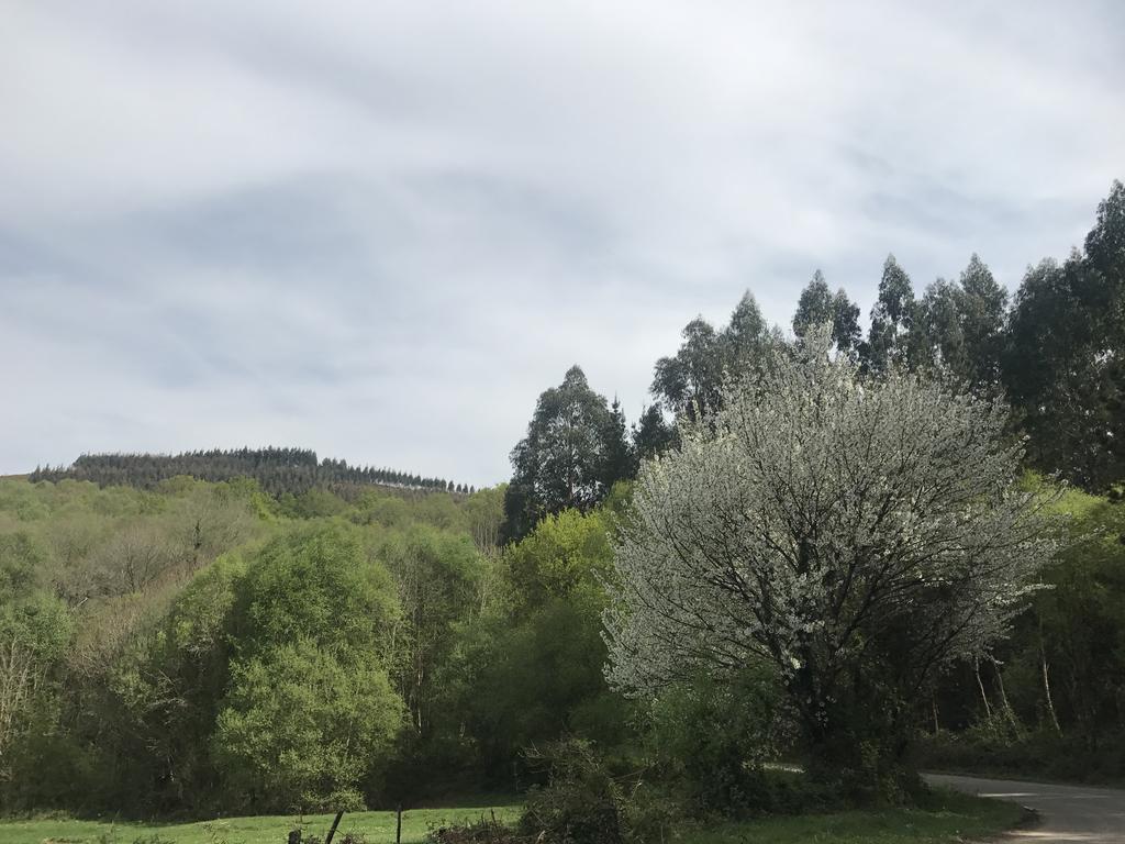 Hotel Mirador De Barcia Ribeira de Piquin エクステリア 写真